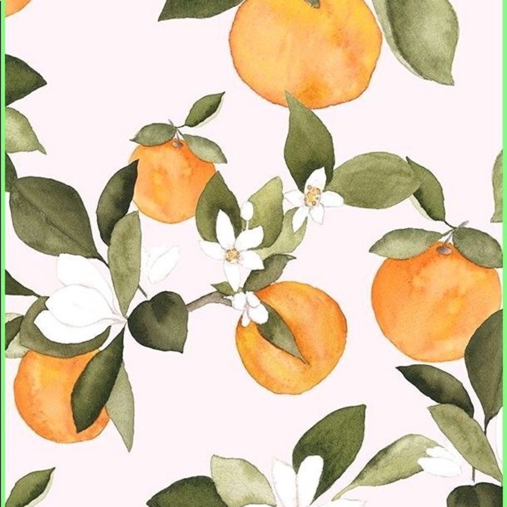 Meet your Posher, Maddy